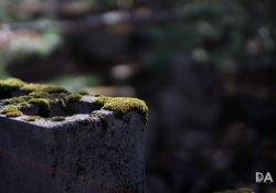 First KamLan shots-16