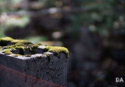 First KamLan shots-17