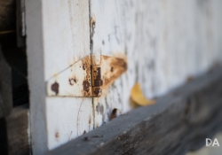 First KamLan shots-19