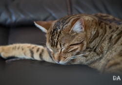 First KamLan shots-2