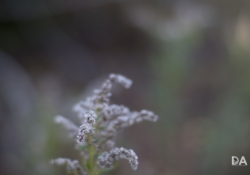 First KamLan shots-21