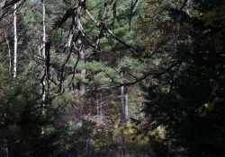 First KamLan shots-23