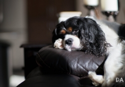 First KamLan shots-5