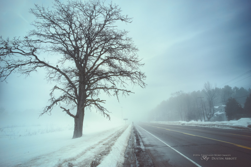 Lost in the Fog (Voigtländer 20mm f/3.5)
