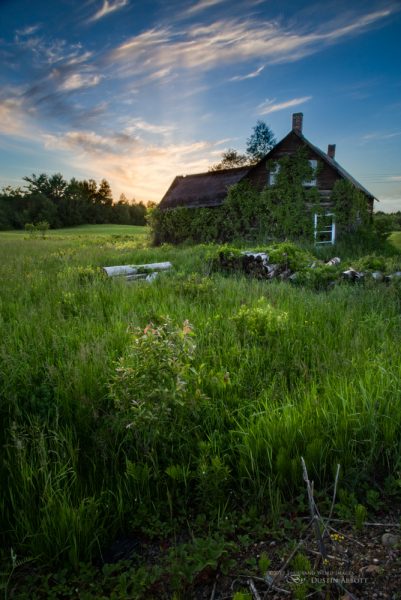 Verdant Decay
