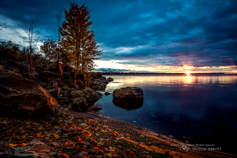 Morning Has Broken