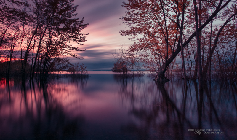 World Out of a Dream