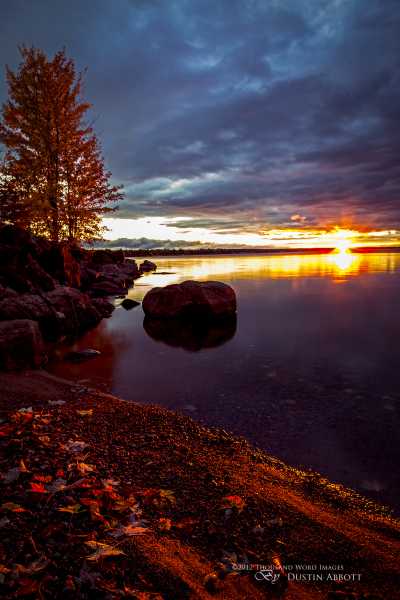 Set the World on Fire