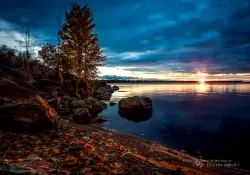 Morning Has Broken