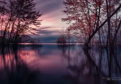 World Out of a Dream