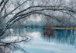 Crystalline