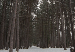 13 18mm Sharpness-3