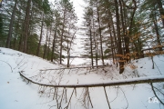 Laowa 10-18mm-40