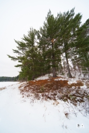 Laowa 10-18mm-45