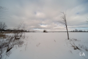 Laowa 10-18mm-6