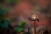 More-Samples-4
