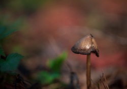More-Samples-4