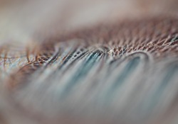 09-DOF
