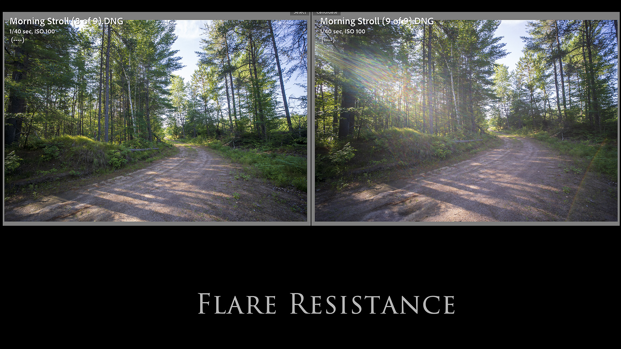 39-Flare-Resistance