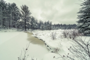 Just Add Snow