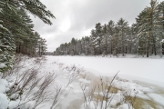 Laowa in Winter-10