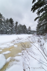 Laowa in Winter-11