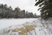 Laowa in Winter-9
