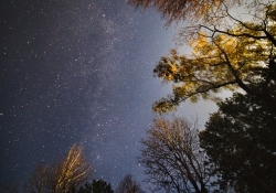 The BIG Picture (Laowa 12mm f/2.8 Zero D)