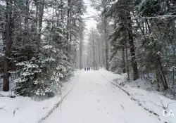 A Walk through Narnia