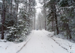 A Walk through Narnia