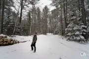 Snowy Walk-2