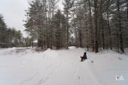Snowy Walk-4