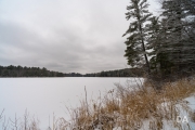 Snowy Walk-5