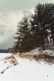 Beside Frozen Lakes