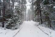 Walk through Narnia 2