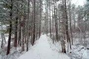 Walk through Narnia
