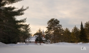 Winter Walk-10