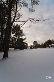 Winter Walk-11