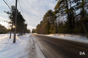 Winter Walk-12