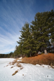 Winter Walk-14
