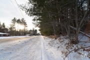 Winter Walk-3