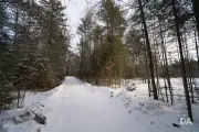 Winter Walk-4