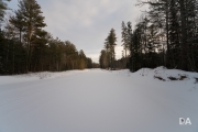 Winter Walk-7