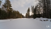 Winter Walk-8