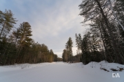 Winter Walk-9