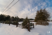 Winter Walk