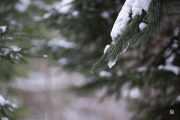 41-Gallery-3-of-13