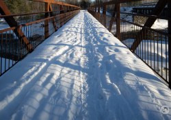27-Vertical-Images-1