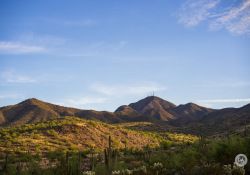 29-Landscapes-1 29-Landscapes-1