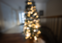 Laowa-AF-10-Samples-14